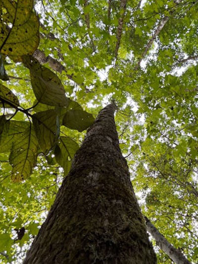 omgeving van psycholoog praktijk Leiden