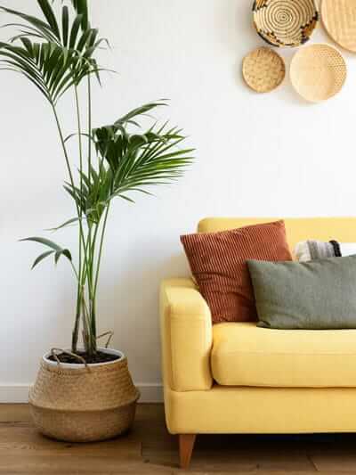 sfeerafbeelding van PsycholoogDenBosch